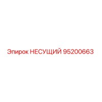 95200663 НЕСУЩИЙ Epiroc