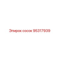 95317939 сосок Epiroc