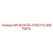 95675815 МУЖСКОЙ-ЛОКОТЬ Epiroc