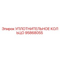 95868055 УПЛОТНИТЕЛЬНОЕ КОЛЬЦО Epiroc