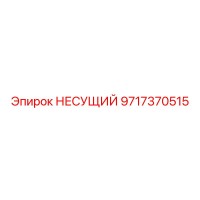 9717370515 НЕСУЩИЙ Epiroc