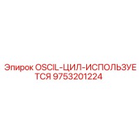 9753201224 OSCIL-ЦИЛ-ИСПОЛЬЗУЕТСЯ Epiroc