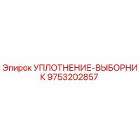9753202857 УПЛОТНЕНИЕ-ВЫБОРНИК Epiroc