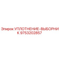 9753202857 УПЛОТНЕНИЕ-ВЫБОРНИК Epiroc