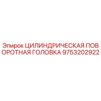 9753202922 ЦИЛИНДРИЧЕСКАЯ ПОВОРОТНАЯ ГОЛОВКА Epiroc