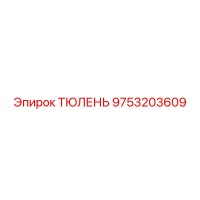 9753203609 ТЮЛЕНЬ Epiroc