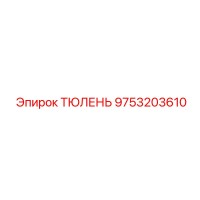 9753203610 ТЮЛЕНЬ Epiroc