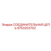 9753203702 СОЕДИНИТЕЛЬНАЯ ЦЕПЬ Эпирок