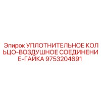 9753204691 УПЛОТНИТЕЛЬНОЕ КОЛЬЦО-ВОЗДУШНОЕ СОЕДИНЕНИЕ-ГАЙКА Epiroc