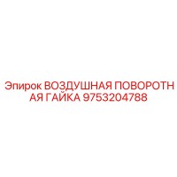 9753204788 ВОЗДУШНАЯ ПОВОРОТНАЯ ГАЙКА Epiroc