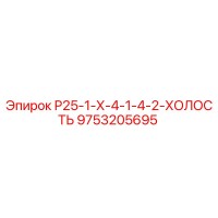 9753205695 Р25-1-Х-4-1-4-2-ХОЛОСТЬ Epiroc