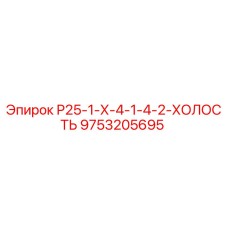 9753205695 Р25-1-Х-4-1-4-2-ХОЛОСТЬ Epiroc