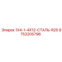 9753205796 1X4-1-4X12-СТАЛЬ-R25 Epiroc