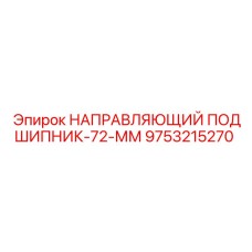 9753215270 НАПРАВЛЯЮЩИЙ ПОДШИПНИК-72-ММ Epiroc