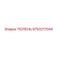 9753217044 ТЮЛЕНЬ Epiroc
