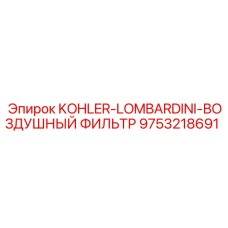 9753218691 KOHLER-LOMBARDINI-ВОЗДУШНЫЙ ФИЛЬТР Epiroc
