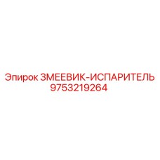 9753219264 ЗМЕЕВИК-ИСПАРИТЕЛЬ Epiroc