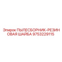 9753229115 ПЫЛЕСБОРНИК-РЕЗИНОВАЯ ШАЙБА Epiroc