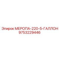 9753229446 МЕРОПА-220-5-ГАЛЛОН Epiroc