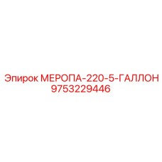 9753229446 МЕРОПА-220-5-ГАЛЛОН Epiroc