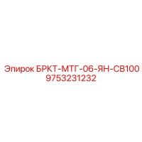 9753231232 БРКТ-МТГ-06-ЯН-СВ100 Epiroc