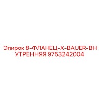 9753242004 8-ФЛАНЕЦ-X-BAUER-ВНУТРЕННЯЯ Epiroc