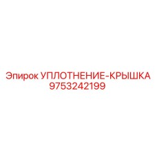9753242199 УПЛОТНЕНИЕ-КРЫШКА Epiroc