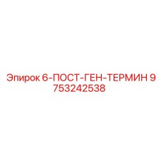 9753242538 6-ПОСТ-ГЕН-ТЕРМИН Epiroc