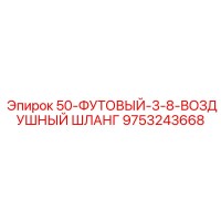9753243668 50-ФУТОВЫЙ-3-8-ВОЗДУШНЫЙ ШЛАНГ Epiroc