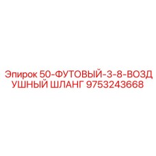 9753243668 50-ФУТОВЫЙ-3-8-ВОЗДУШНЫЙ ШЛАНГ Epiroc