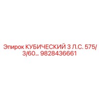 9828436661 КУБИЧЕСКИЙ 3 Л.С. 575/3/60… | Epiroc