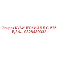 9828439032 КУБИЧЕСКИЙ 5 Л.С. 575 В/3 Ф | Epiroc