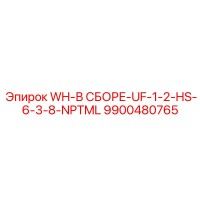 9900480765 WH-В СБОРЕ-UF-1-2-HS-6-3-8-NPTML Epiroc