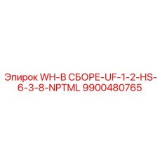 9900480765 WH-В СБОРЕ-UF-1-2-HS-6-3-8-NPTML Epiroc