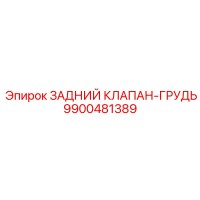 9900481389 ЗАДНИЙ КЛАПАН-ГРУДЬ Epiroc