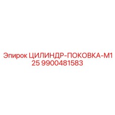 9900481583 ЦИЛИНДР-ПОКОВКА-M125 Epiroc