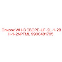 9900481705 WH-В СБОРЕ-UF-2L-1-2BH-1-2NPTML Epiroc