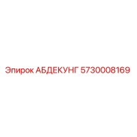 5730008169 АБДЕКУНГ Epiroc