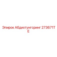 273671TE Абдихтунгсринг Epiroc