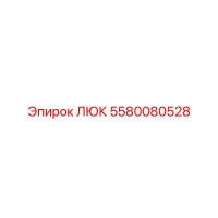 5580080528 Access Hatch for Epiroc Drill Rigs