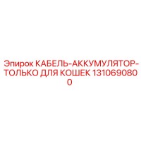 1310690800 КАБЕЛЬ-АККУМУЛЯТОР-ТОЛЬКО ДЛЯ КОШЕК Epiroc
