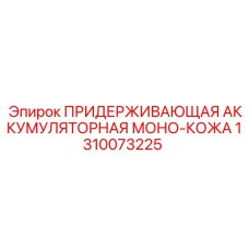1310073225 ПРИДЕРЖИВАЮЩАЯ АККУМУЛЯТОРНАЯ МОНО-КОЖА Epiroc