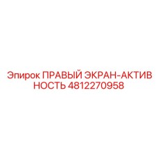 4812270958 ПРАВЫЙ ЭКРАН-АКТИВНОСТЬ - Epiroc