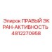4812270958 ПРАВЫЙ ЭКРАН-АКТИВНОСТЬ - Epiroc