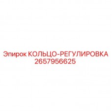 Прецизионное регулировочное кольцо 2657956625 от Epiroc