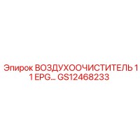 GS12468233 ВОЗДУХООЧИСТИТЕЛЬ 11 EPG | Epiroc