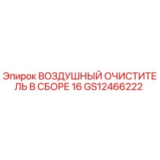 GS12466222 ВОЗДУШНЫЙ ОЧИСТИТЕЛЬ В СБОРЕ 16 | Epiroc