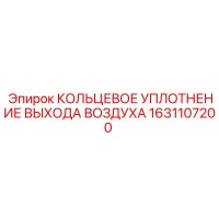 1631107200 КОЛЬЦЕВОЕ УПЛОТНЕНИЕ ВЫХОДА ВОЗДУХА Epiroc