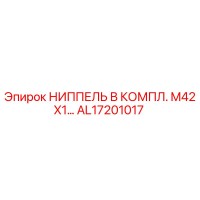 AL17201017 НИППЕЛЬ В КОМПЛ. M42X1… Epiroc