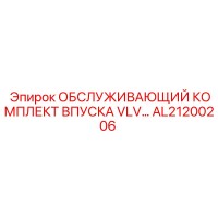AL21200206 ОБСЛУЖИВАЮЩИЙ КОМПЛЕКТ ВПУСКА VLV | Epiroc